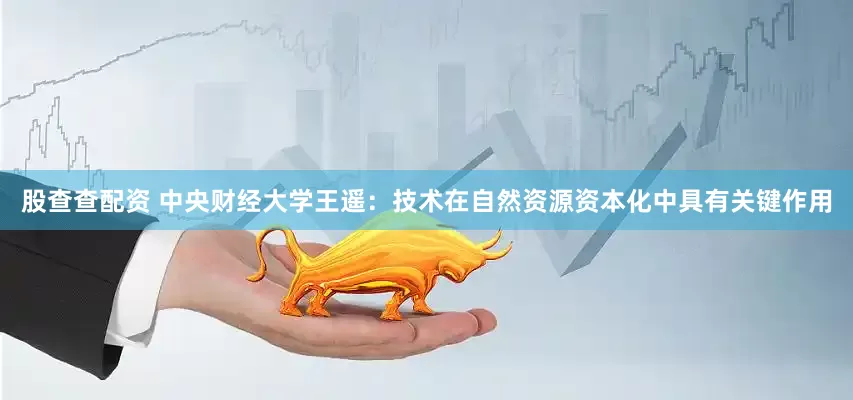 股查查配资 中央财经大学王遥：技术在自然资源资本化中具有关键作用