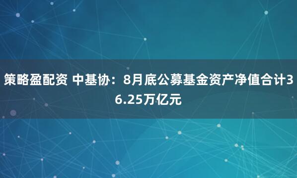 策略盈配资 中基协：8月底公募基金资产净值合计36.25万亿元